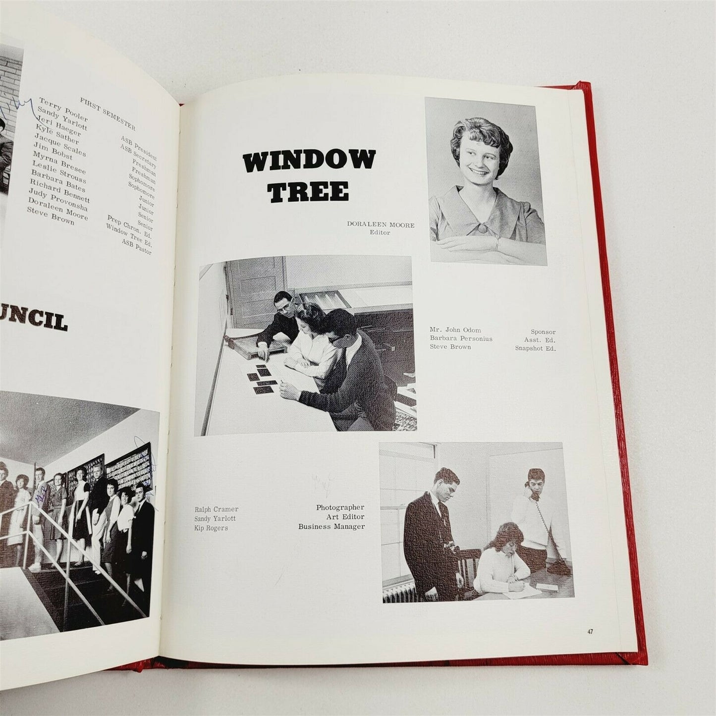 Window Tree 1964 PUC Prep Pacific Union College School Angwin CA Annual Yearbook