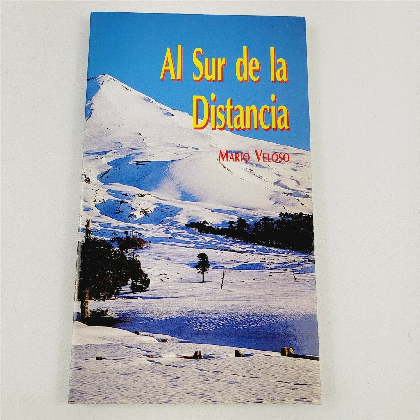 South of the Distance Al Sur de la Distancia (Spanish Edition) by Mario Veloso