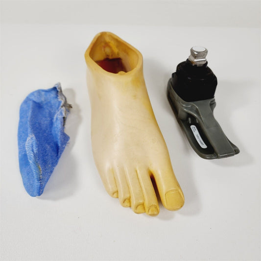 Endolite RG22 4AH UK 23cm Prosthetic Right Foot w/ Shell