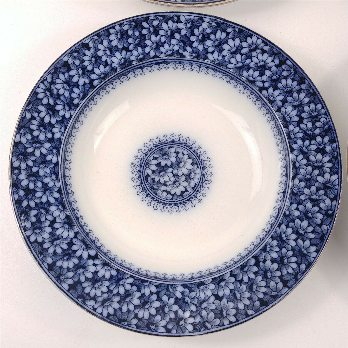 4 WAA William Alsager Adderley Daisy Blue 9 7/8" Rimmed Dinner Bowls