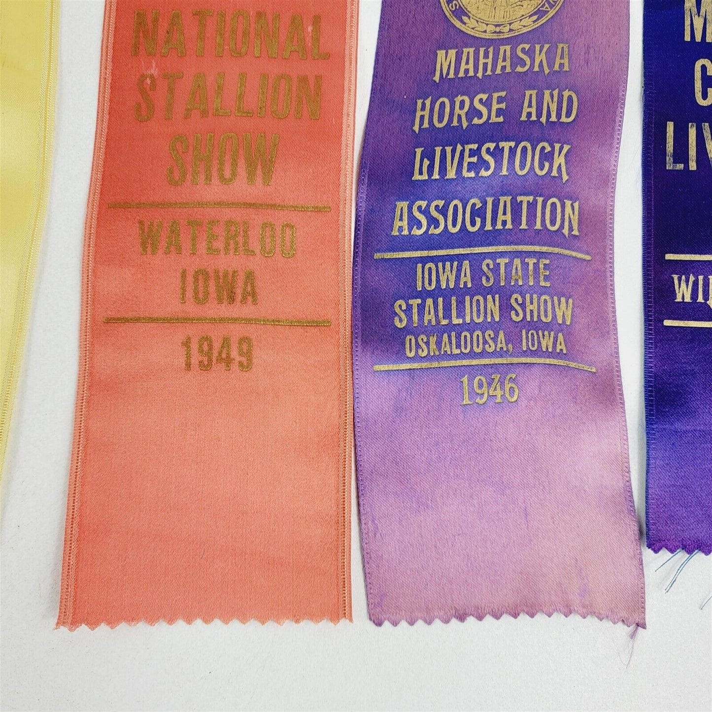 8 Vintage Waterloo Iowa Indiana Palomino Horse Parade Award Ribbons 1946-1950