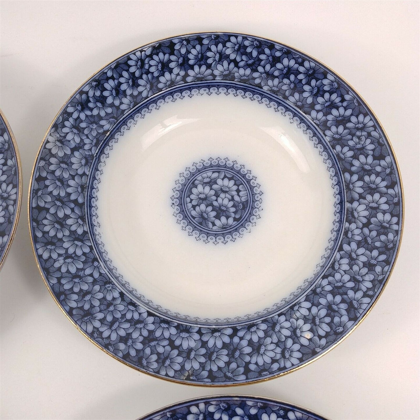 4 WAA William Alsager Adderley Daisy Blue 9 7/8" Rimmed Dinner Bowls