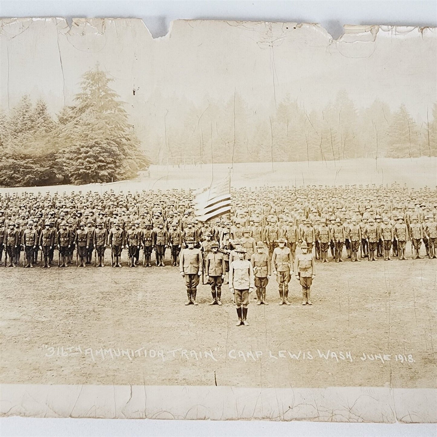 Vintage Photograph 1918 Camp Lewis WA 316 Ammunition Train Yard 20" x 8"