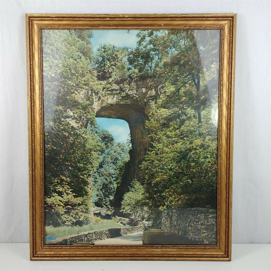 Virginia Natural Bridge Rock Arch Trees Framed Photograph Hand Colored Photo