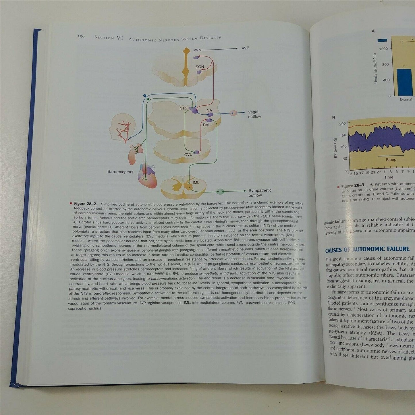 Neurology and Clinical Neuroscience by Anthony Schapira + Supplemental CD