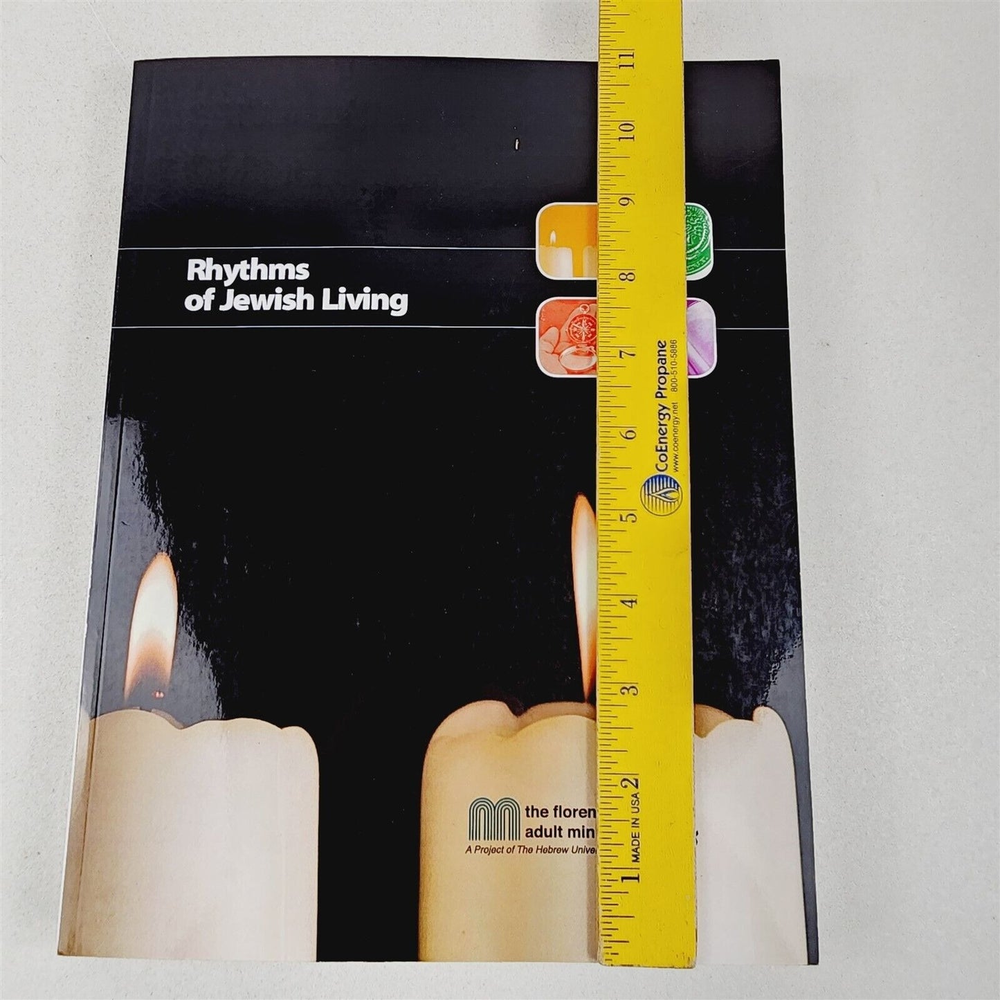 Purposes & Rhythms of Jewish Living by David Harbater Student Readers 2005