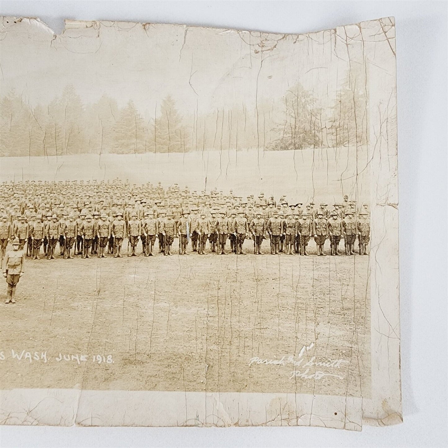 Vintage Photograph 1918 Camp Lewis WA 316 Ammunition Train Yard 20" x 8"