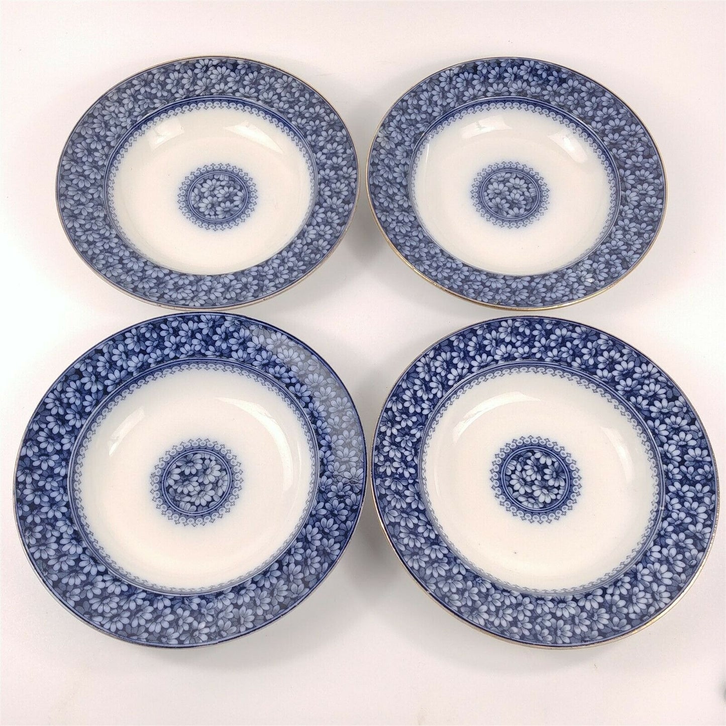 4 WAA William Alsager Adderley Daisy Blue 9 7/8" Rimmed Dinner Bowls