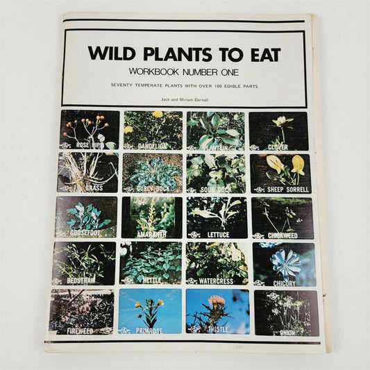 Wild Plants to Eat Workbook Jack Miriam Darnall 70 Temperate 100 Edible Parts