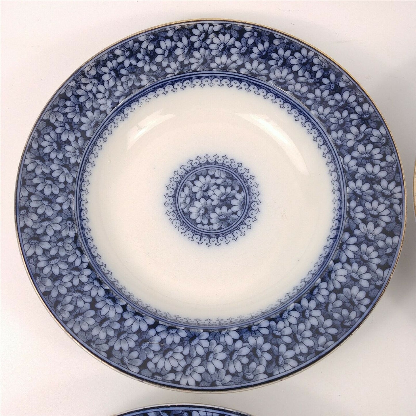 4 WAA William Alsager Adderley Daisy Blue 9 7/8" Rimmed Dinner Bowls