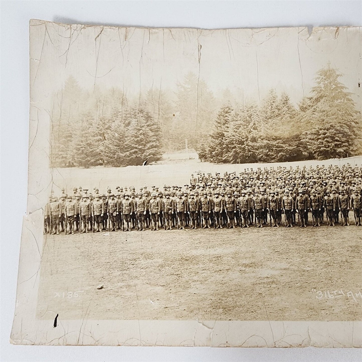 Vintage Photograph 1918 Camp Lewis WA 316 Ammunition Train Yard 20" x 8"