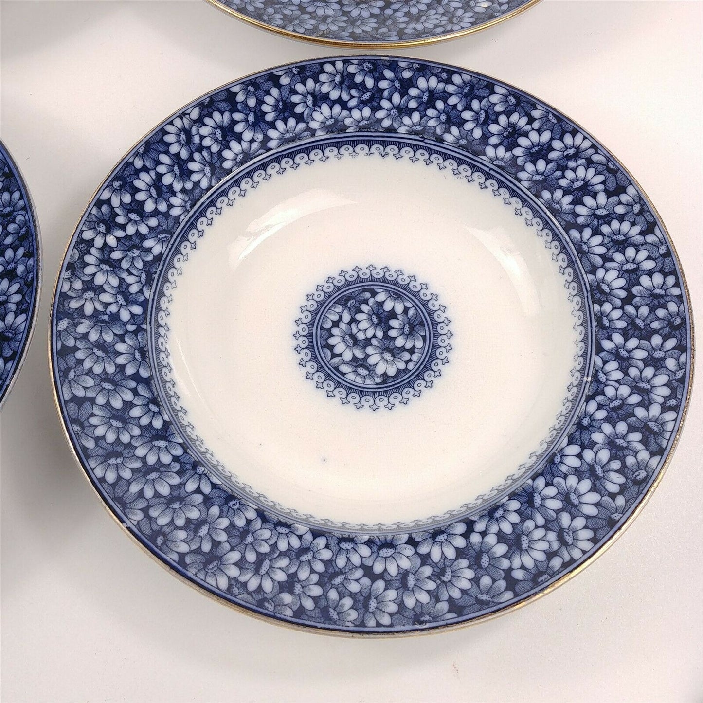 4 WAA William Alsager Adderley Daisy Blue 9 7/8" Rimmed Dinner Bowls