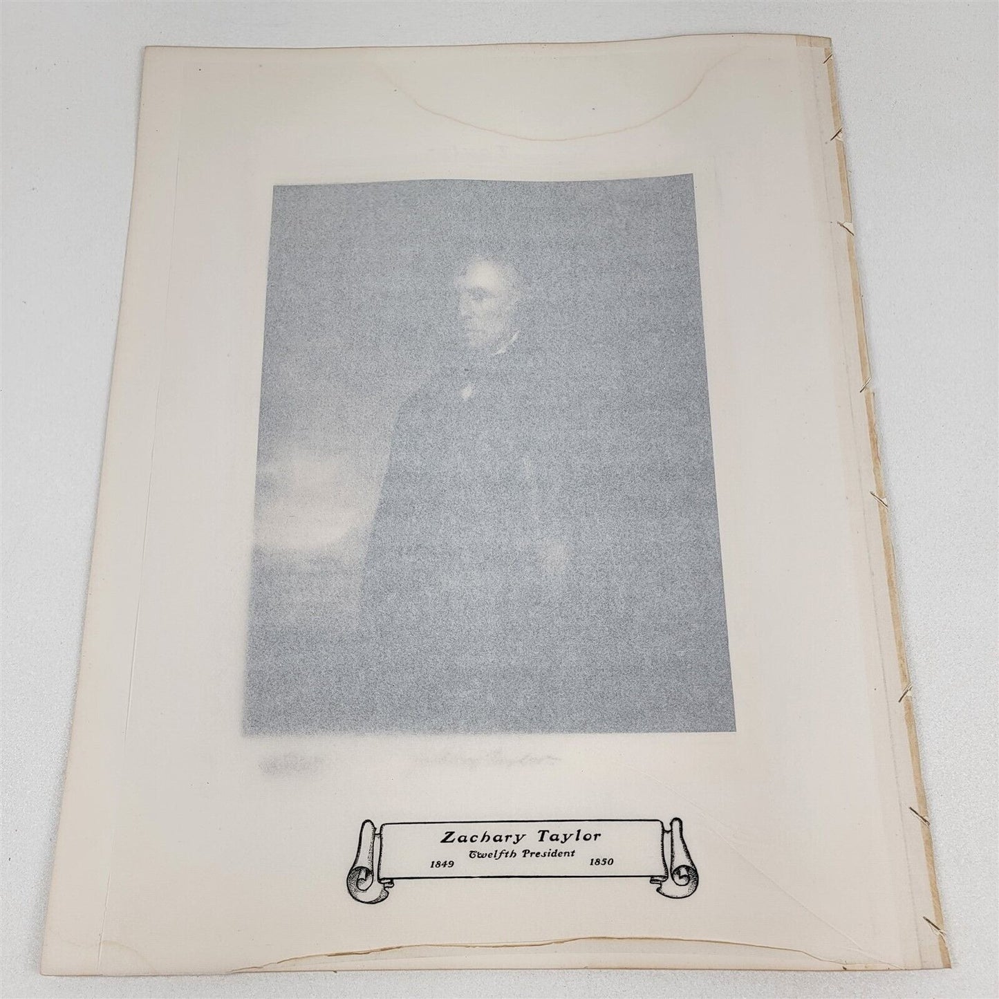 Zachary Taylor 1901 White House Gallery Official Portraits US Presidents Gravure