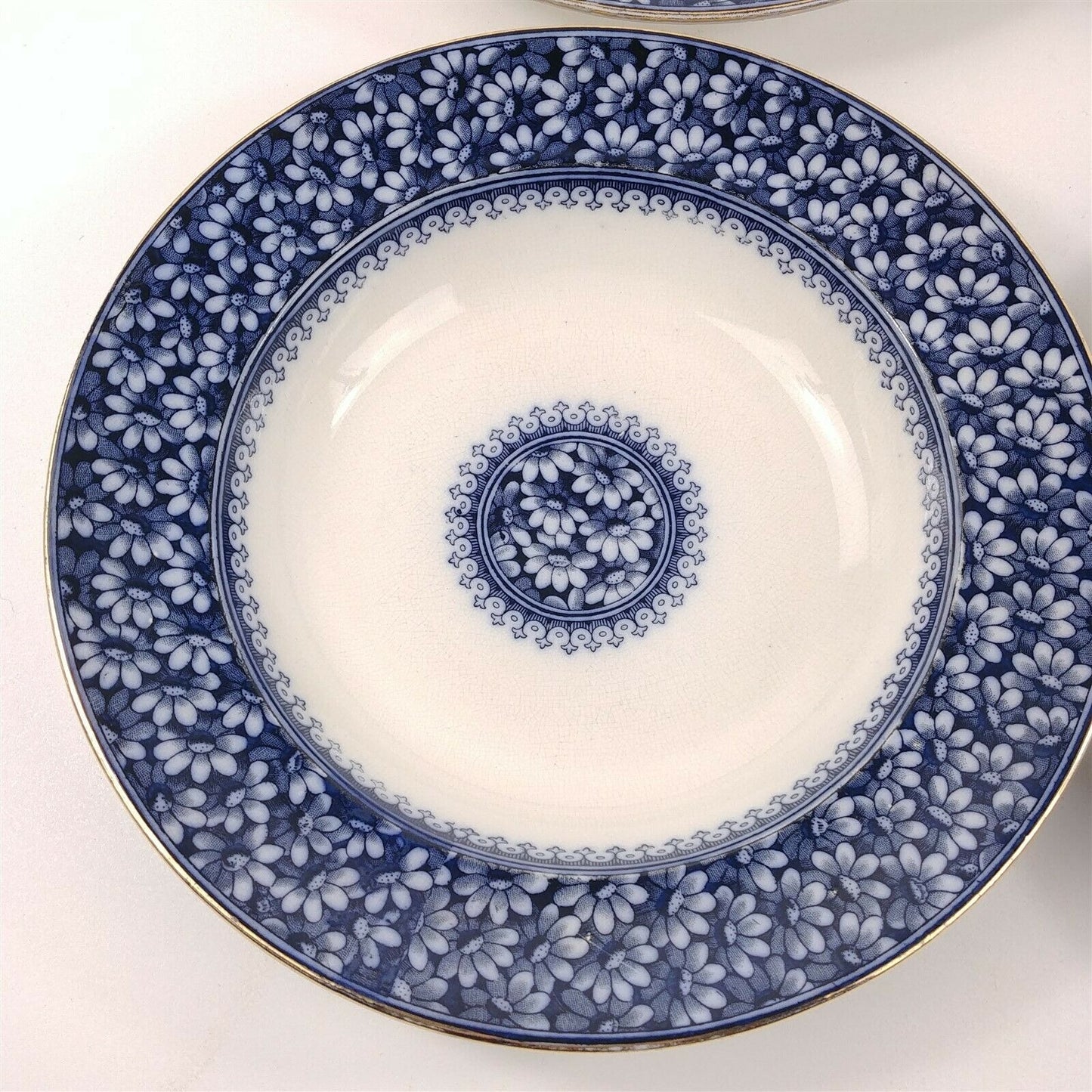 4 WAA William Alsager Adderley Daisy Blue 9 7/8" Rimmed Dinner Bowls Antique